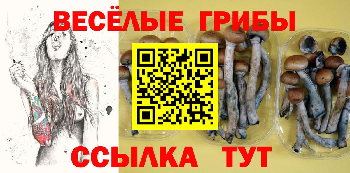 Галлюциногенные грибы мицелий  Вход с VPN  Галлюциногенные грибы Cubensis  Орёл 