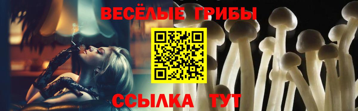 Псилоцибиновые грибы Psilocybe Орёл